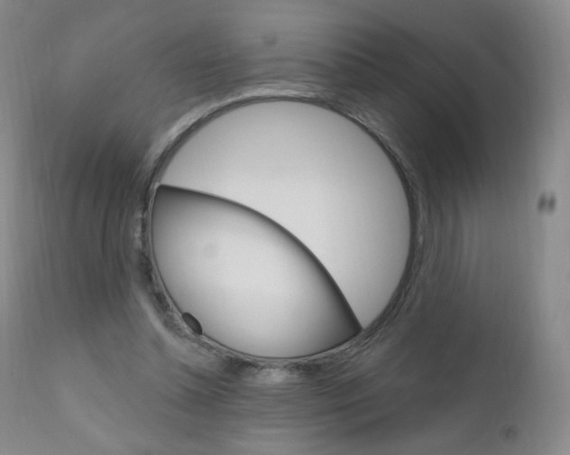 X0000111020348200906191236
