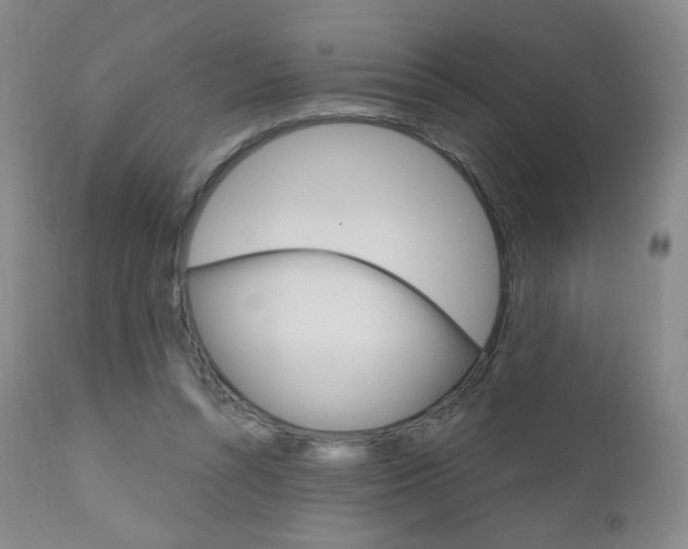 X0000111020352200906191236