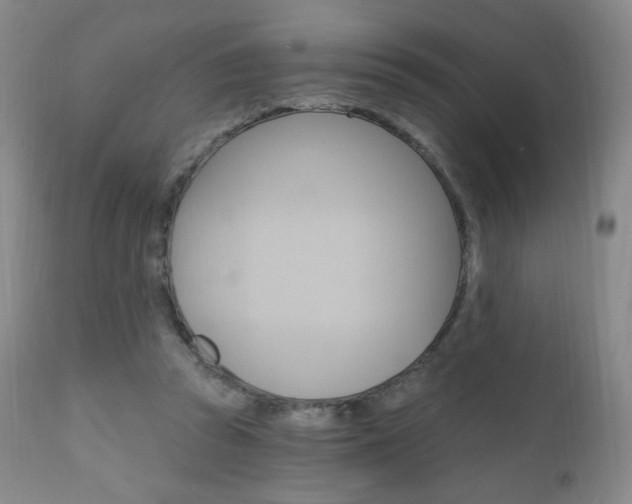 X0000111020353200906191236