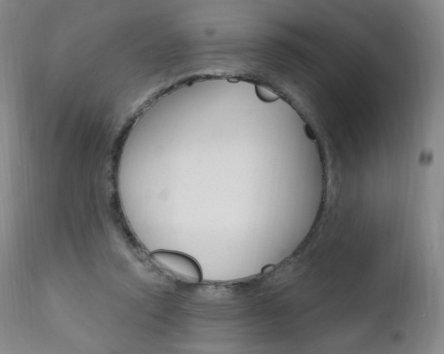 X0000111020354200906191236