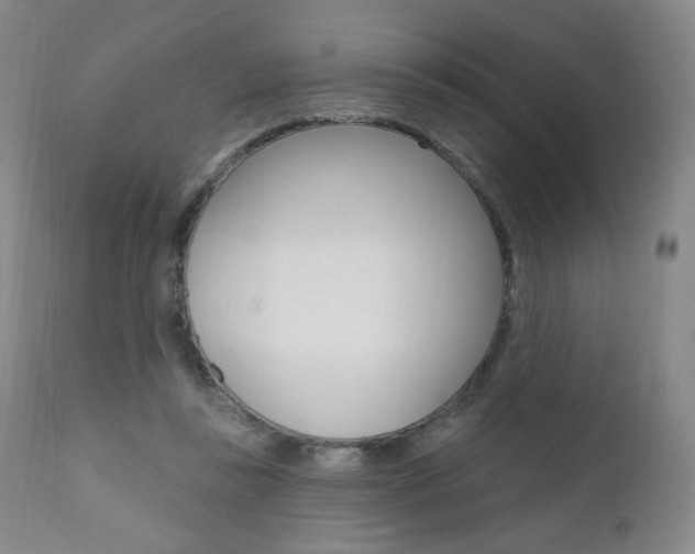 X0000111020355200906191236