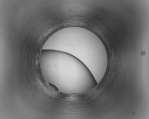 X0000111020356200906191236