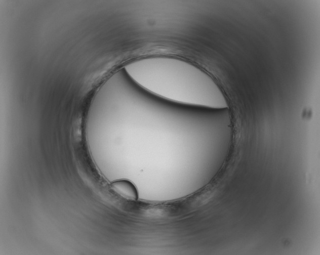 X0000111020358200906191236