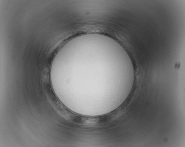 X0000111020359200906191236