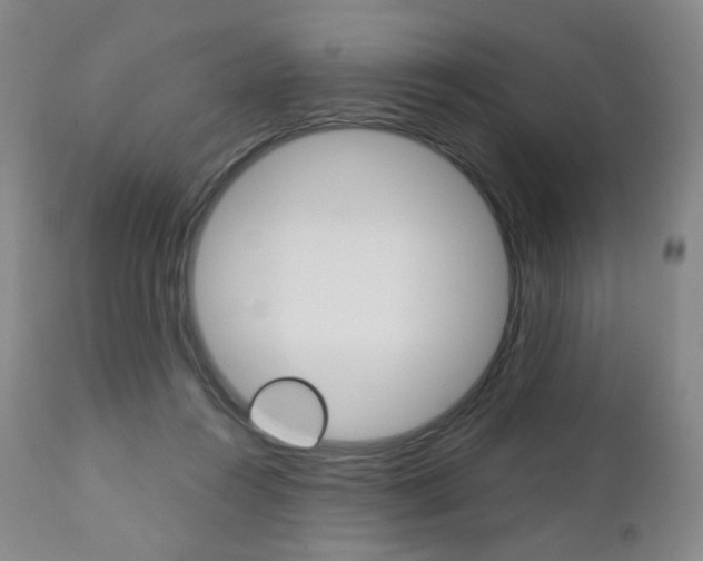 X0000111020360200906191236