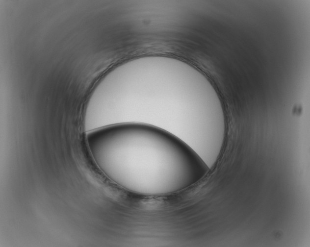 X0000111020362200906191236