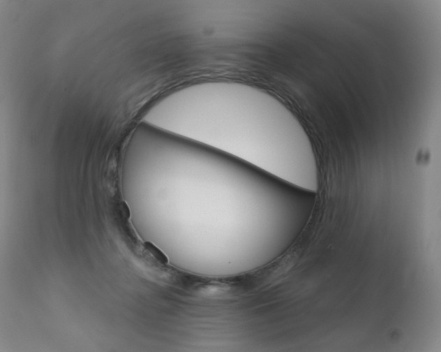 X0000111020364200906191237