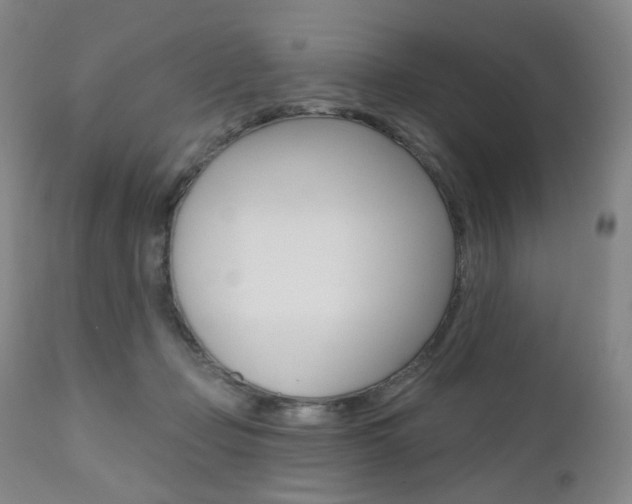 X0000111020365200906191237