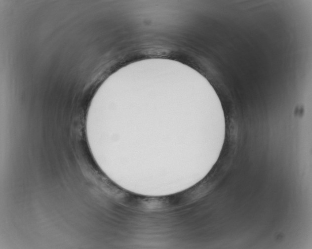 X0000111020370200906191237