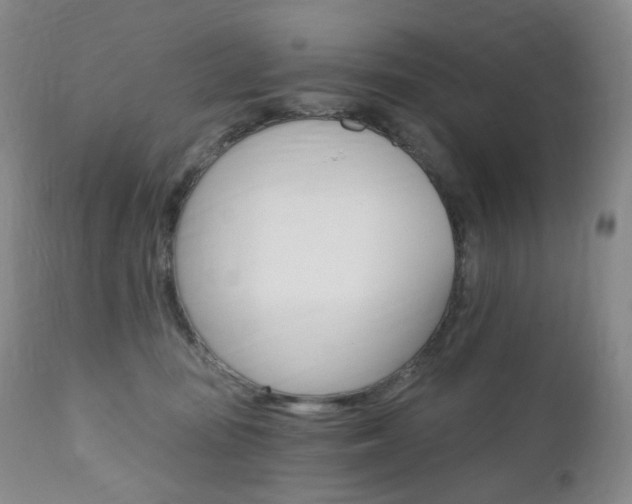 X0000111020371200906191237