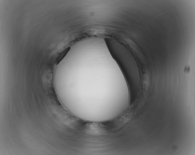 X0000111020372200906191237