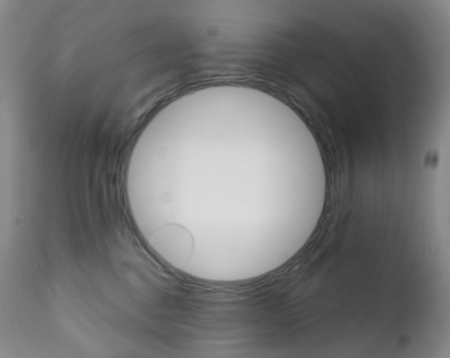 X0000111020376200906191237