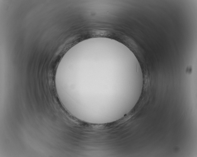 X0000111020377200906191237