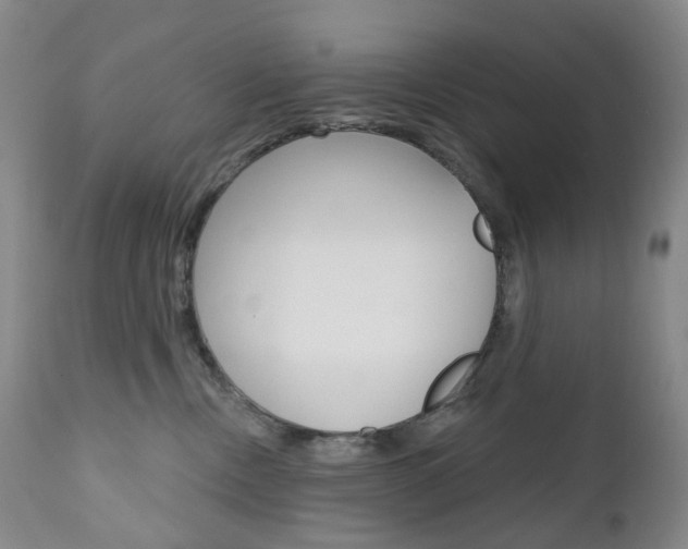 X0000111020378200906191237