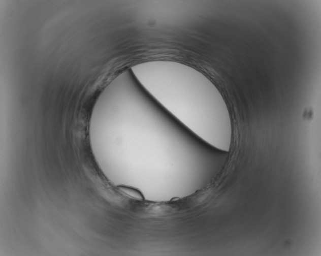 X0000111020379200906191237