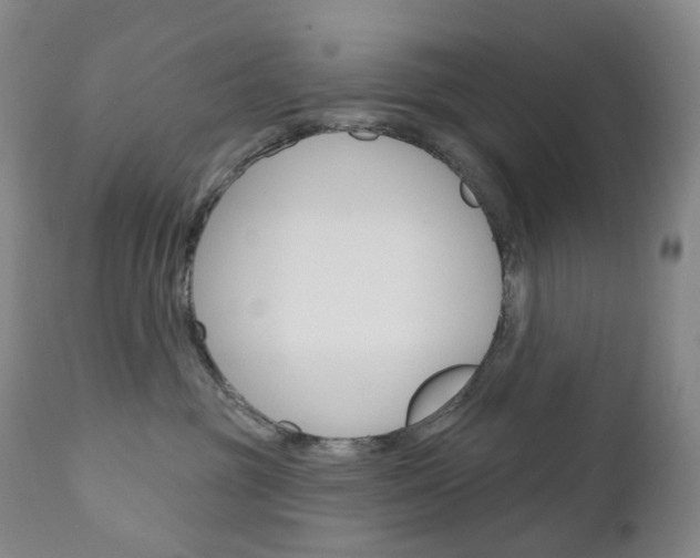 X0000111020381200906191237