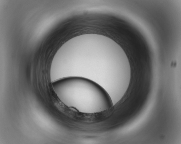 X0000111020382200906191237
