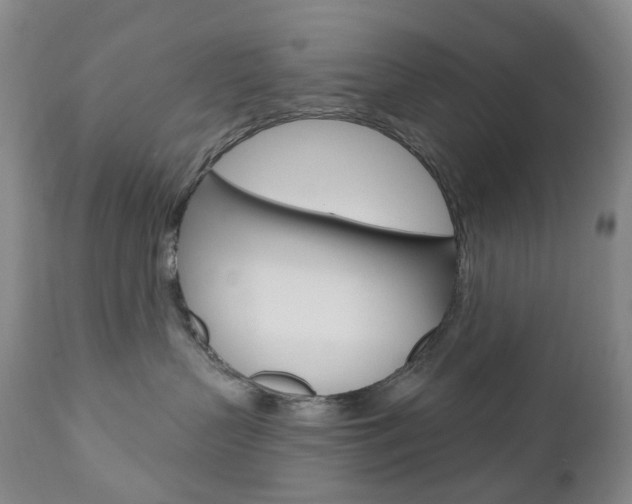 X0000111020383200906191237