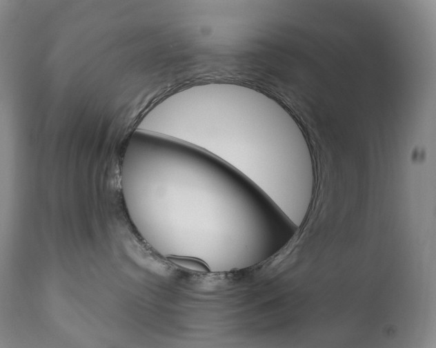 X0000111020384200906191237