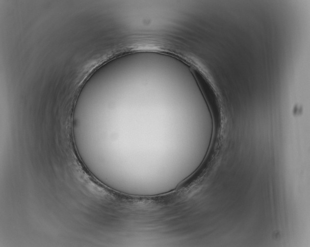 X0000111020385200906191236