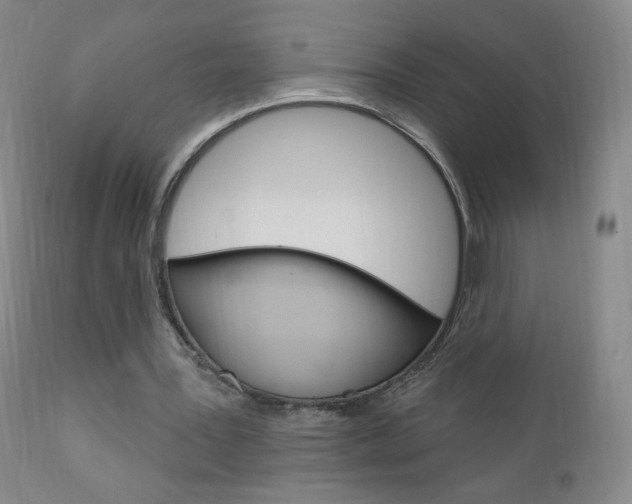 X0000111020387200906191236