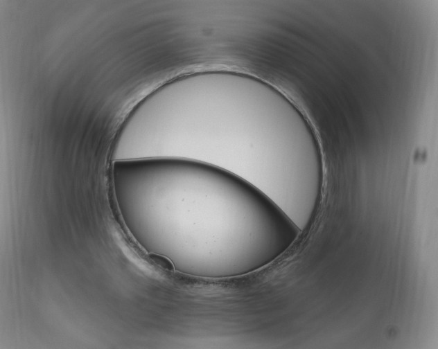 X0000111020389200906191236