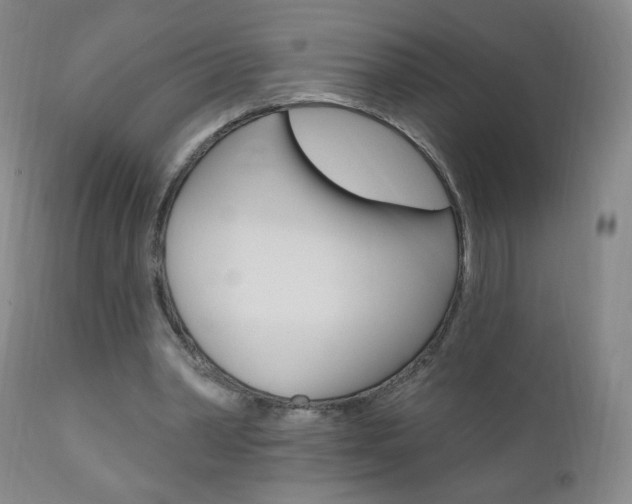 X0000111020390200906191236