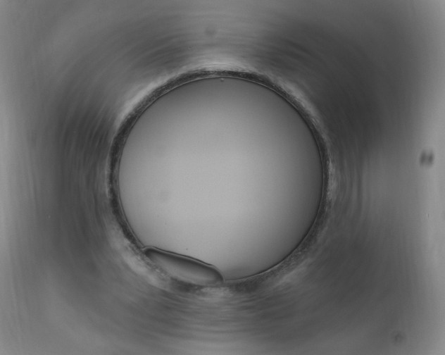 X0000111020391200906191236