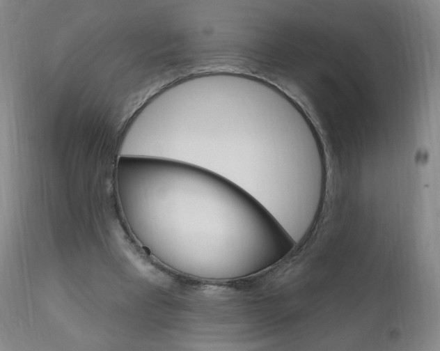 X0000111020393200906191236