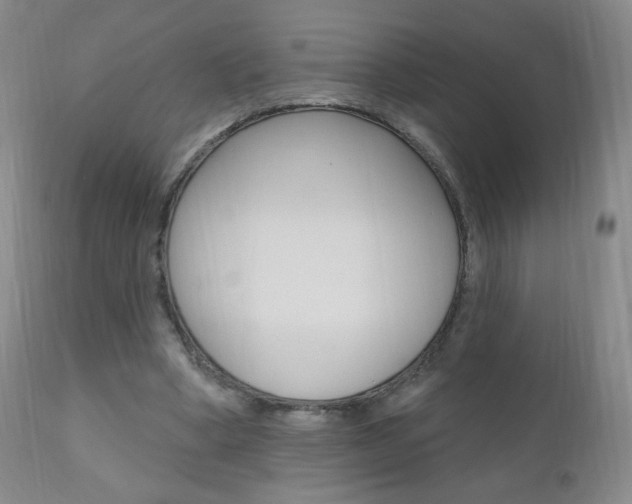 X0000111020394200906191236