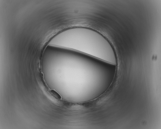 X0000111020397200906191236