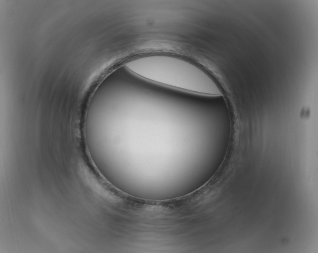 X0000111020399200906191236