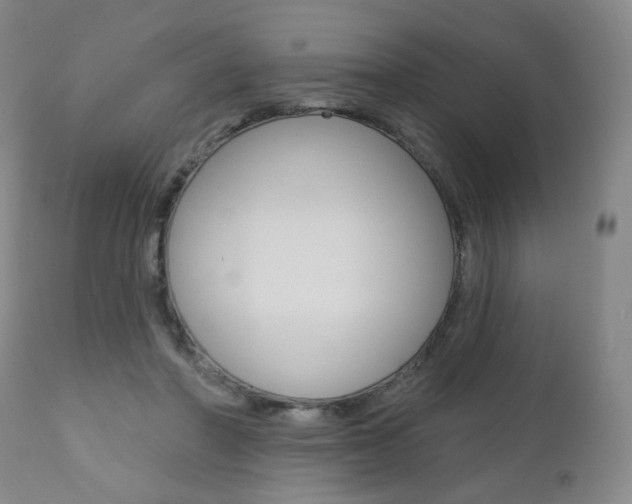 X0000111020406200906191236