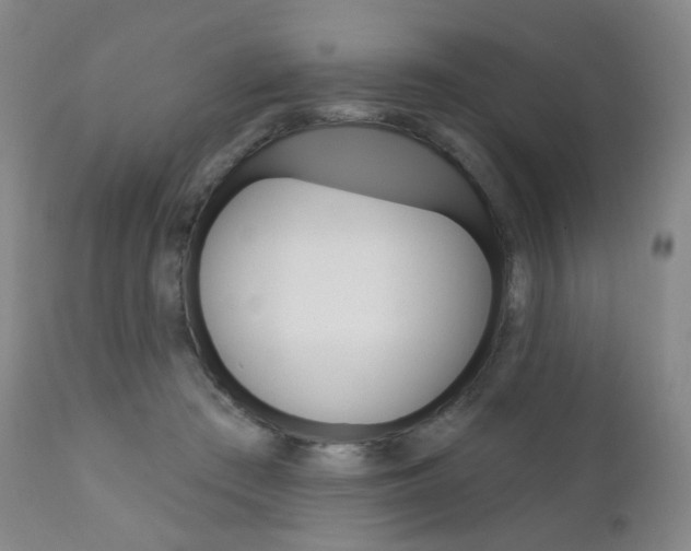 X0000111020409200906191236