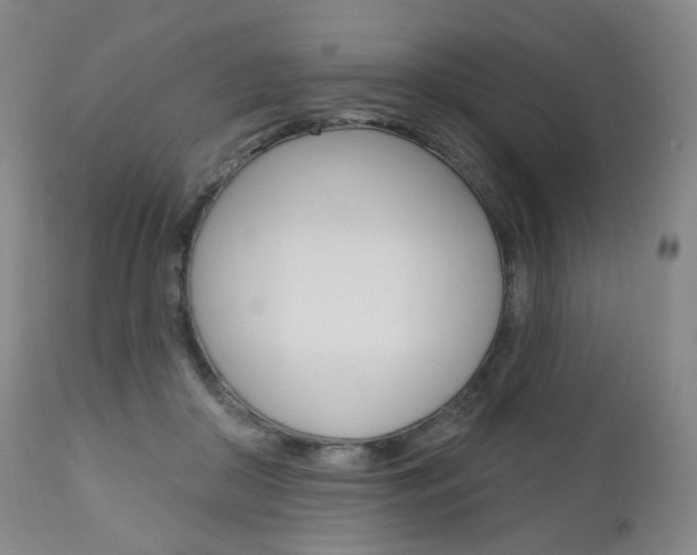 X0000111020410200906191236