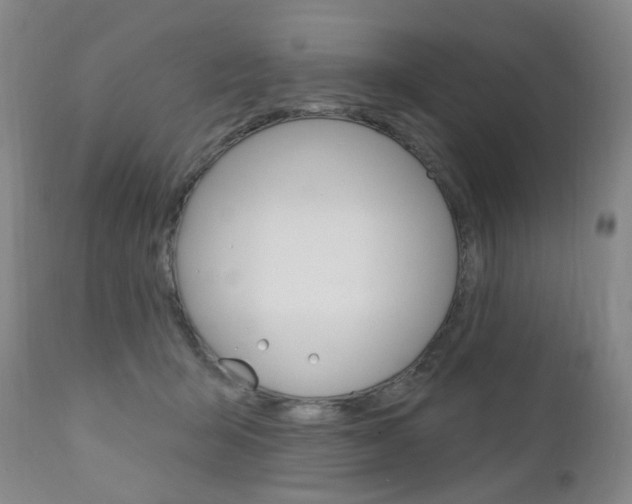 X0000111020415200906191236