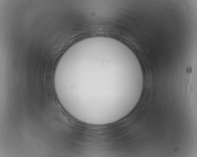 X0000111020417200906191236