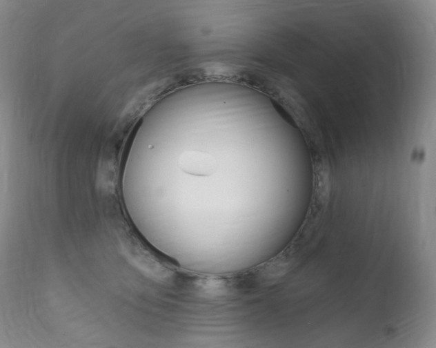 X0000111020419200906191235