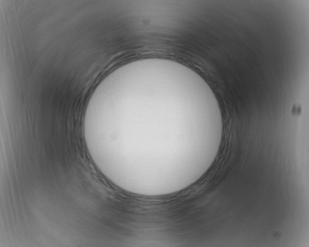 X0000111020421200906191235