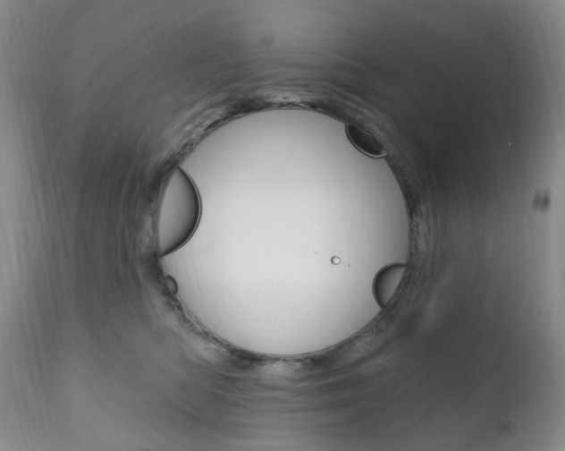 X0000111020422200906191235