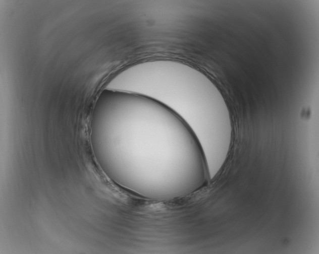 X0000111020423200906191235