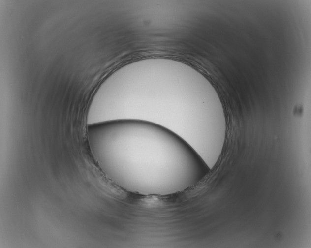 X0000111020425200906191235
