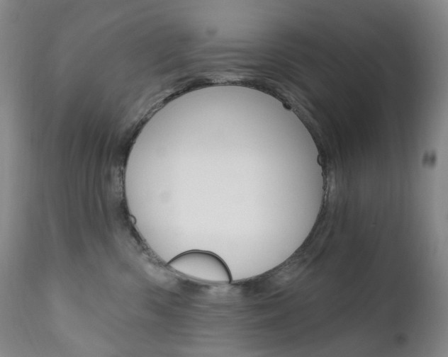X0000111020426200906191235