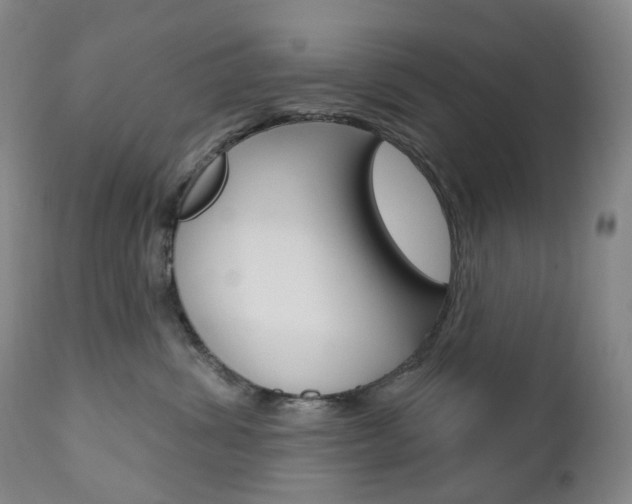 X0000111020428200906191235