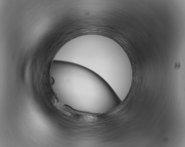 X0000111020429200906191235