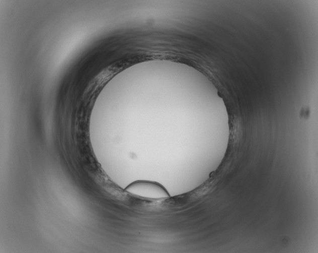 X0000111020430200906191235