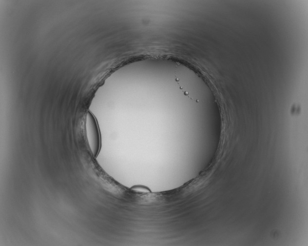 X0000111020432200906191235