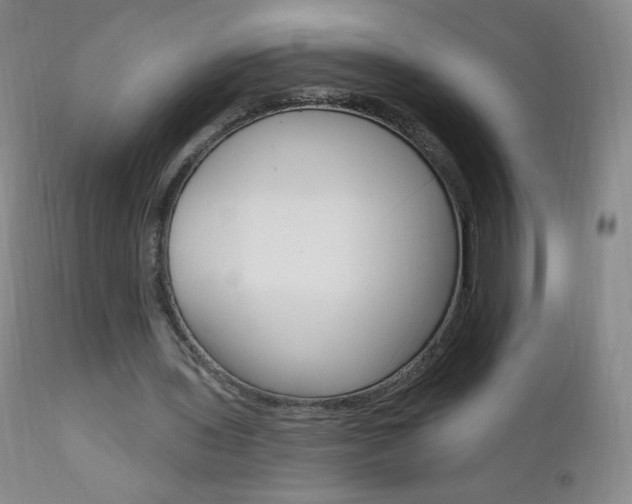 X0000111020435200906191234