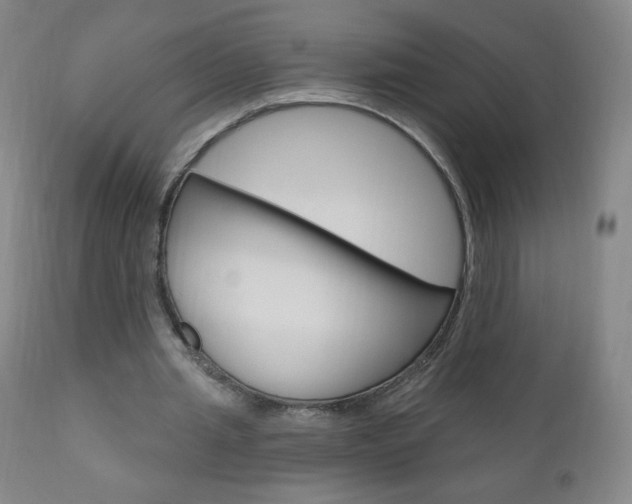 X0000111020437200906191235