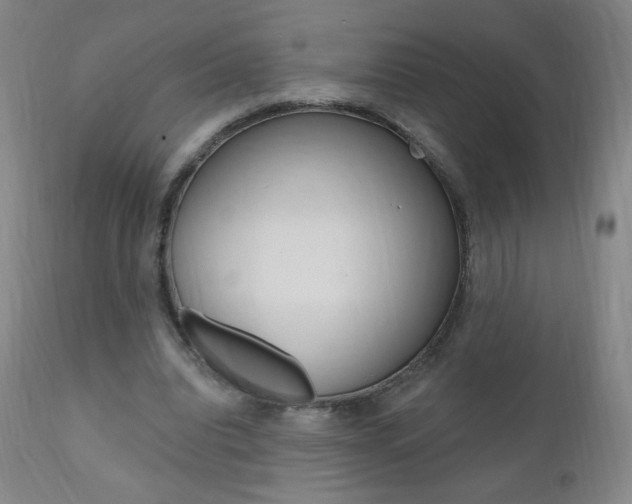 X0000111020440200906191235